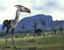 big bird