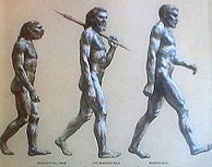 evolution